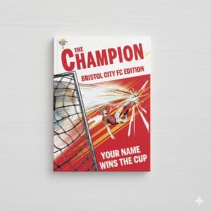 Ff team bristol city cover m